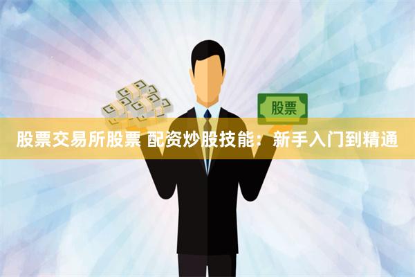 股票交易所股票 配资炒股技能：新手入门到精通