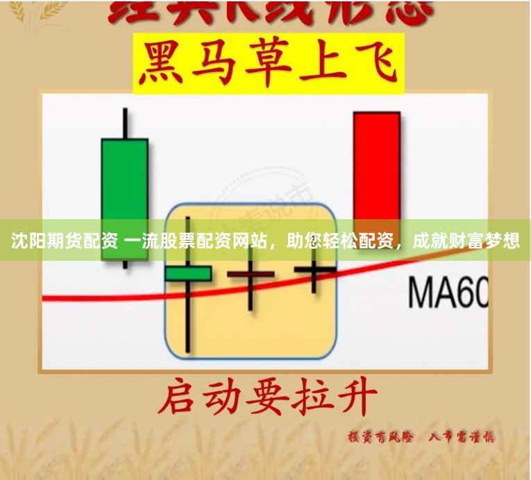 沈阳期货配资 一流股票配资网站，助您轻松配资，成就财富梦想