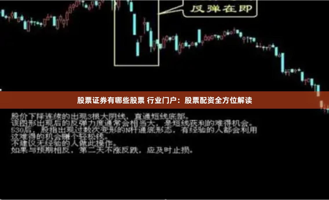 股票证券有哪些股票 行业门户：股票配资全方位解读