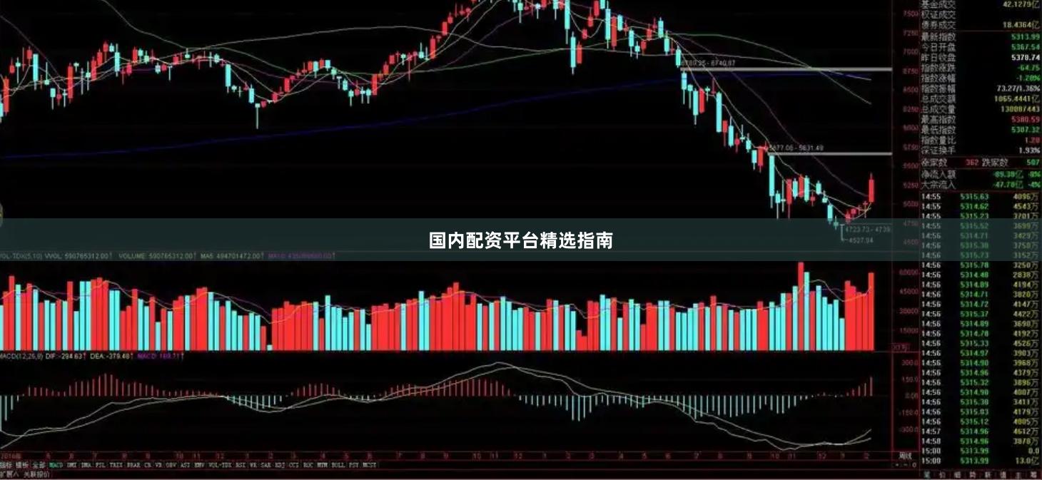 国内配资平台精选指南