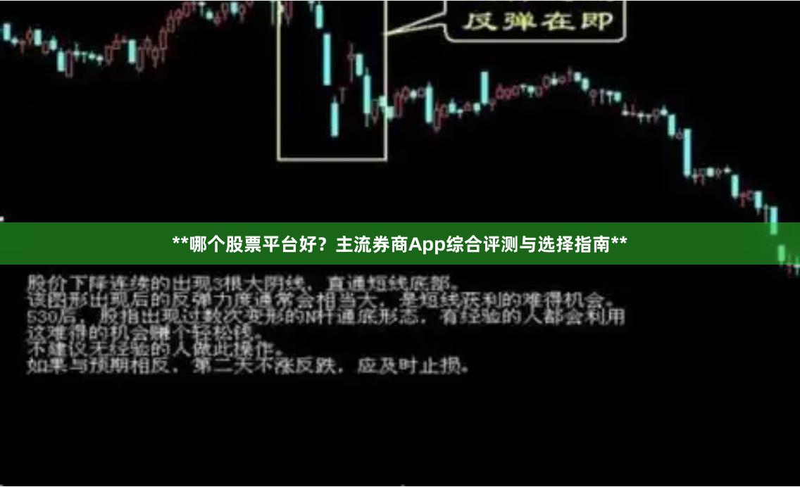 **哪个股票平台好？主流券商App综合评测与选择指南**