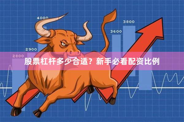 股票杠杆多少合适？新手必看配资比例