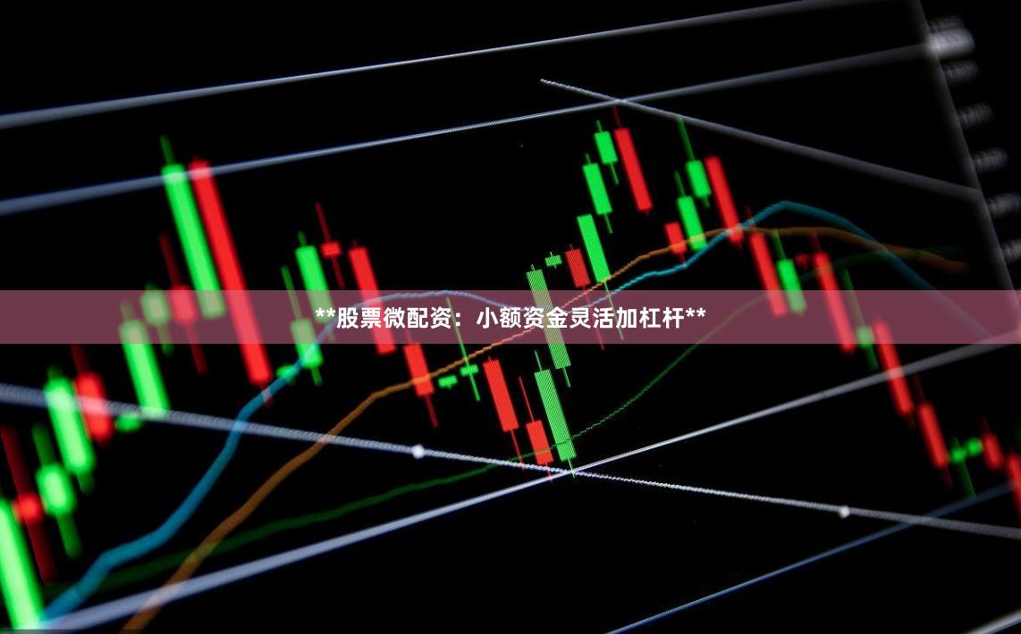 **股票微配资:小额资金灵活加杠杆**